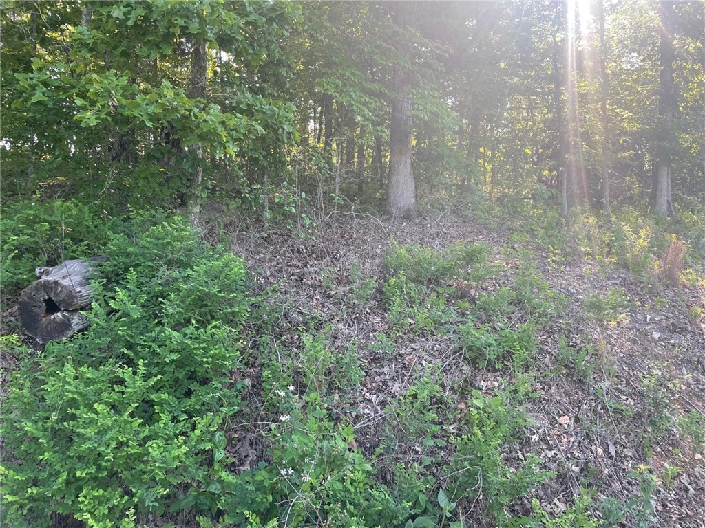 Argyll Dr, Bella Vista, AR 72715