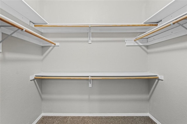 6 Rivercliff Rd, Rogers, AR 72756 - spacious closet with carpet floors