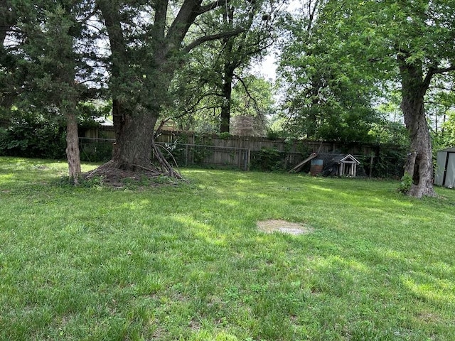 1002 N Pleasant St, Springdale, AR 72764 - view of yard