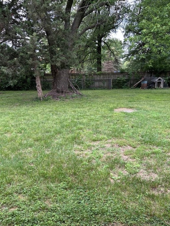1002 N Pleasant St, Springdale, AR 72764 - view of yard