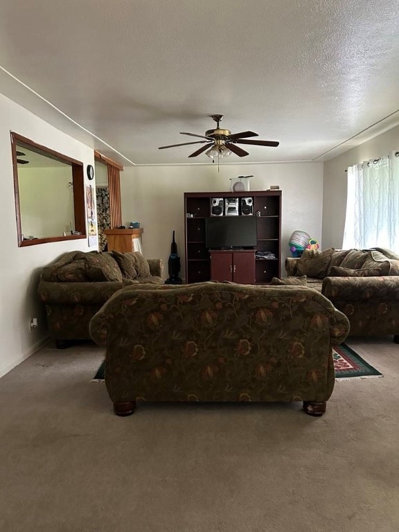 1002 N Pleasant St, Springdale, AR 72764 - living area featuring carpet flooring, a ceiling fan, and a textured ceiling