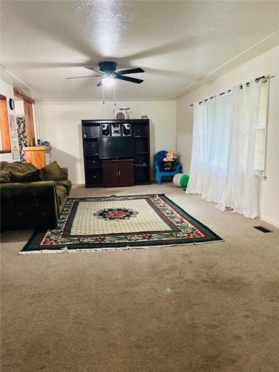 1002 N Pleasant St, Springdale, AR 72764 - photo 4
