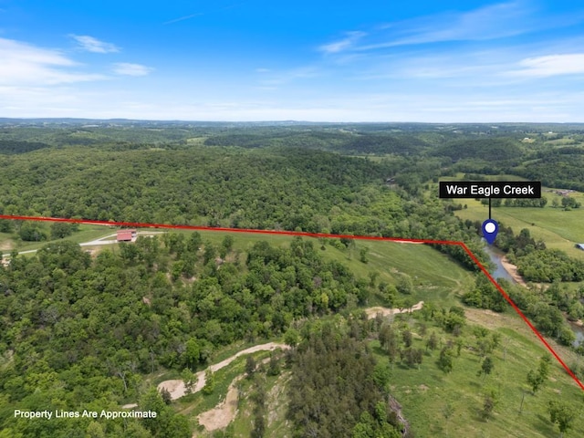 713 Madison Unit 8744, Huntsville, AR 72740 - view of property location featuring a forest and property parcel outlined