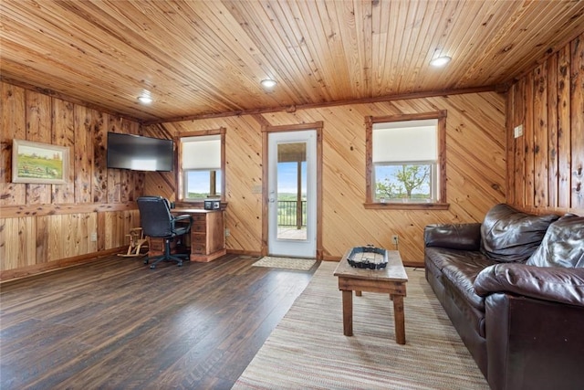 713 Madison Unit 8744, Huntsville, AR 72740 - office space with wood ceiling, wood walls, dark wood-style floors, recessed lighting, and baseboards