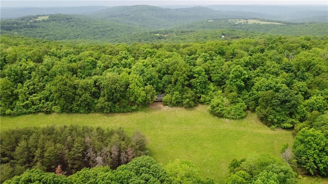 163ACRES Low Gap Rd, West Fork, AR 72774