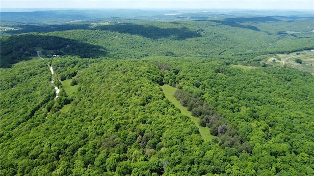 163ACRES Low Gap Rd, West Fork, AR 72774