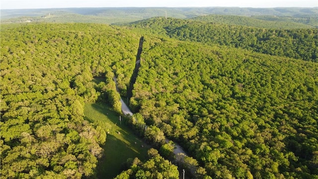 163ACRES Low Gap Rd, West Fork, AR 72774