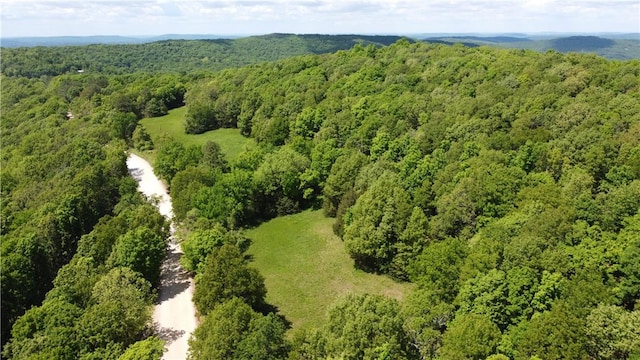 163ACRES Low Gap Rd, West Fork, AR 72774