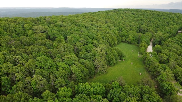 163ACRES Low Gap Rd, West Fork, AR 72774