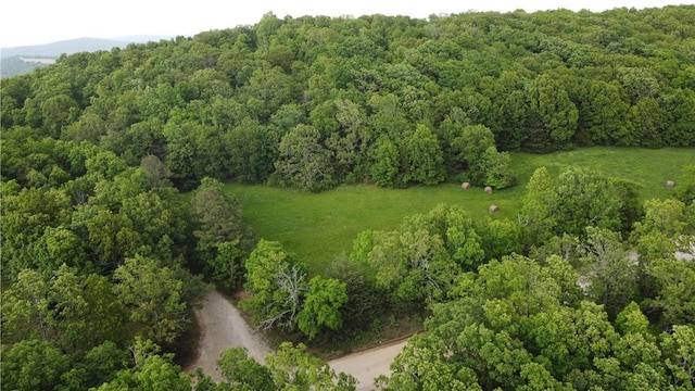 163ACRES Low Gap Rd, West Fork, AR 72774