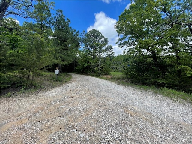 163ACRES Low Gap Rd, West Fork, AR 72774
