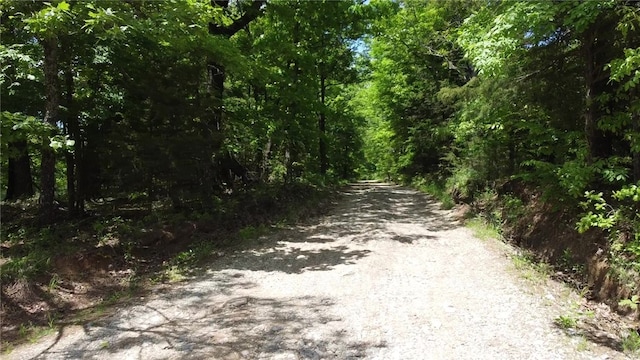 163ACRES Low Gap Rd, West Fork, AR 72774