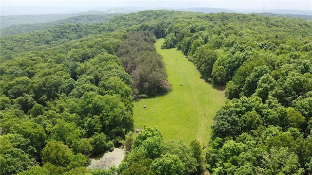 163ACRES Low Gap Rd, West Fork, AR 72774