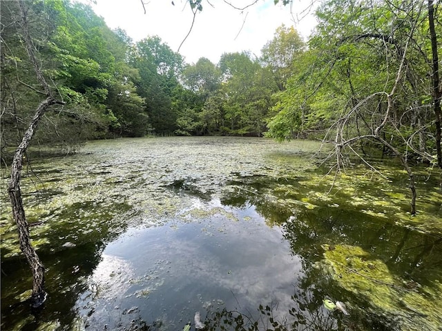 163ACRES Low Gap Rd, West Fork, AR 72774