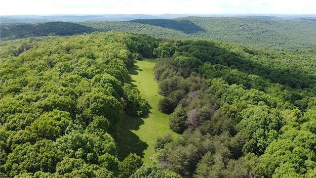 163ACRES Low Gap Rd, West Fork, AR 72774