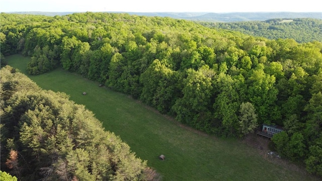 163ACRES Low Gap Rd, West Fork, AR 72774