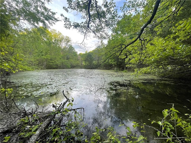 163ACRES Low Gap Rd, West Fork, AR 72774