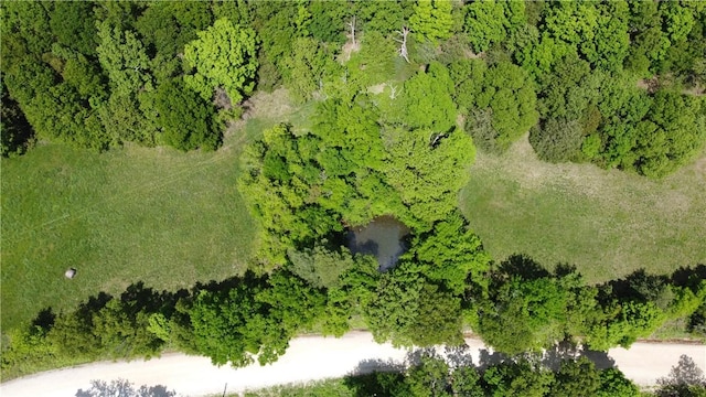 163ACRES Low Gap Rd, West Fork, AR 72774