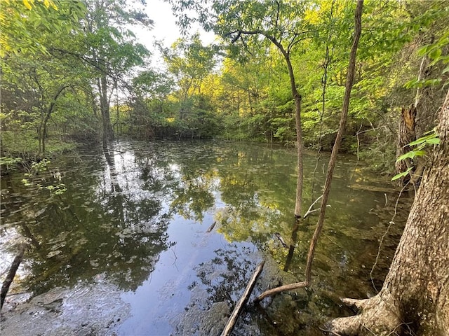 163ACRES Low Gap Rd, West Fork, AR 72774