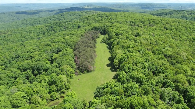 163ACRES Low Gap Rd, West Fork, AR 72774