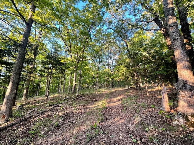 163ACRES Low Gap Rd, West Fork, AR 72774
