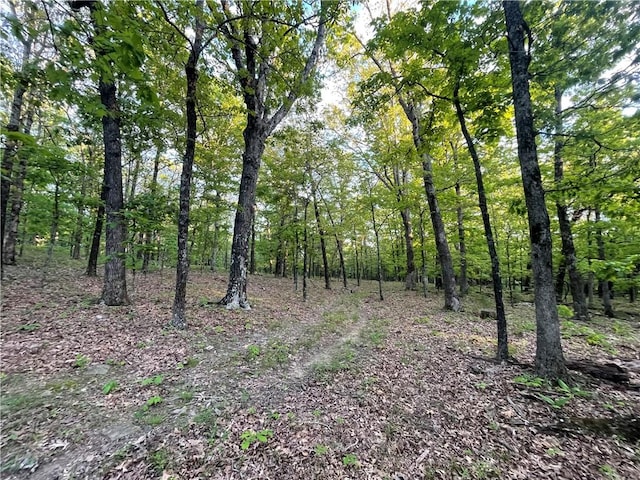 163ACRES Low Gap Rd, West Fork, AR 72774