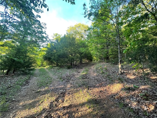 163ACRES Low Gap Rd, West Fork, AR 72774