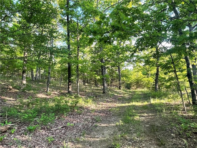 163ACRES Low Gap Rd, West Fork, AR 72774