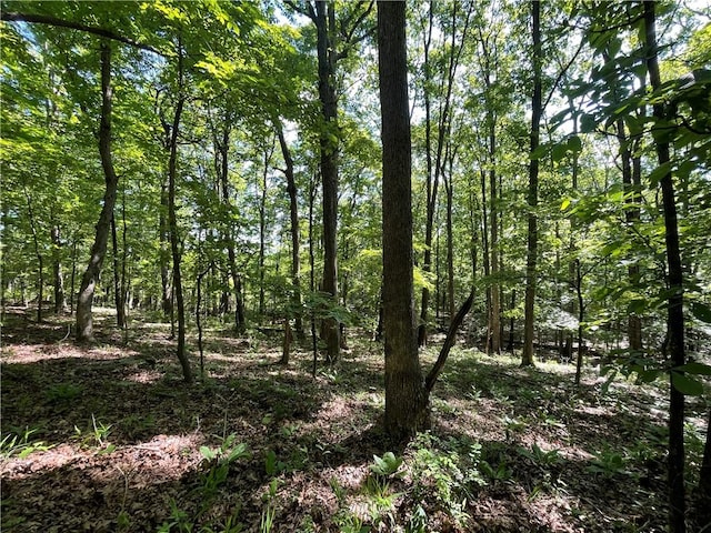 163ACRES Low Gap Rd, West Fork, AR 72774