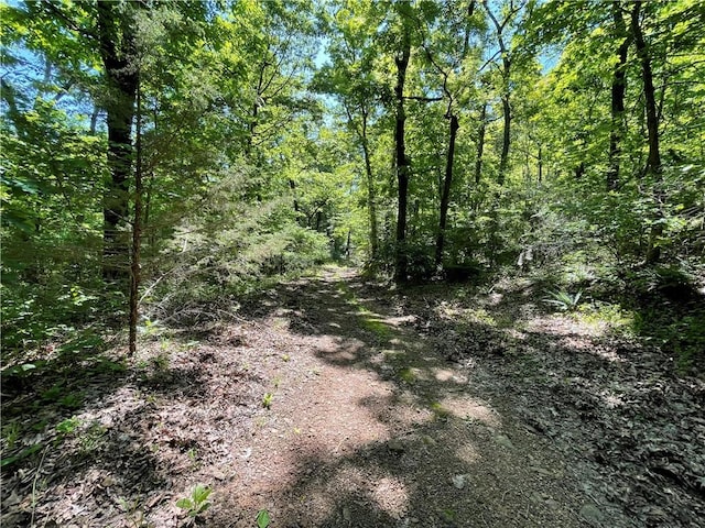 163ACRES Low Gap Rd, West Fork, AR 72774