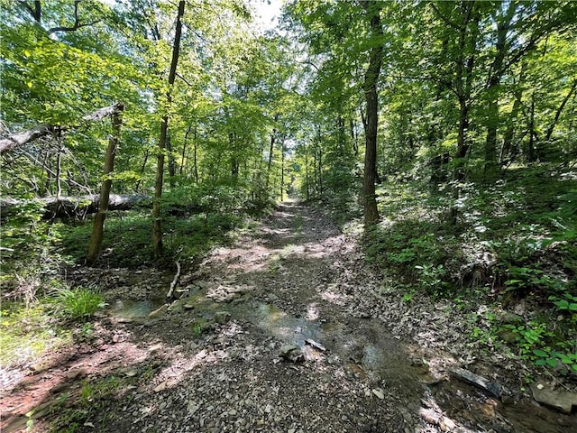 163ACRES Low Gap Rd, West Fork, AR 72774