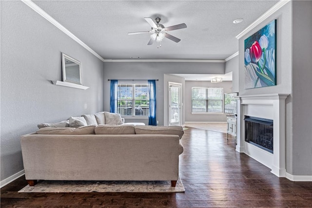 living area featuring a textured ceiling, healthy amount of natural light, crown molding, a ceiling fan, and dark wood-style flooring