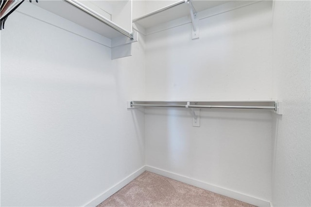 spacious closet with carpet floors