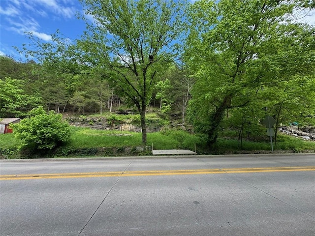 133 Main St, Eureka Springs, AR 72632 - photo 5