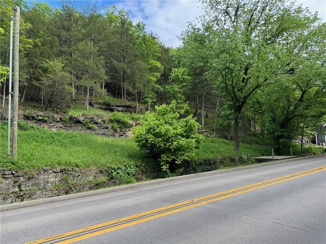 133 Main St, Eureka Springs, AR 72632 - photo 1