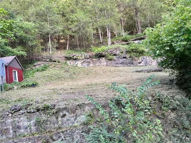 133 Main St, Eureka Springs, AR 72632 - photo 3