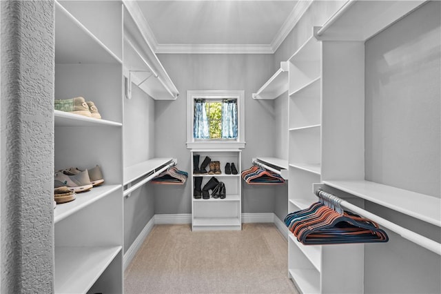 spacious closet with carpet floors