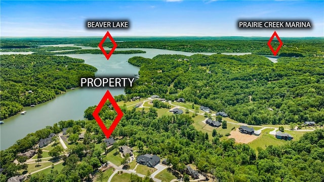 drone / aerial view of a large body of water and a heavily wooded area
