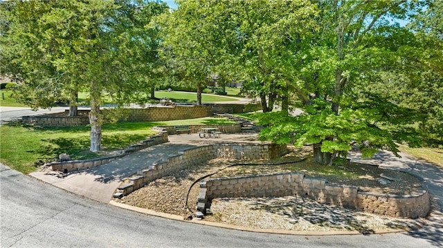 surrounding community with a lawn