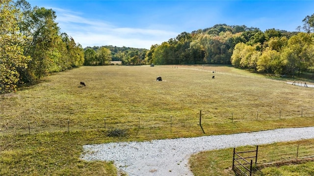 TBD Sugar Creek Rd, Pea Ridge, AR 72756 - photo 3