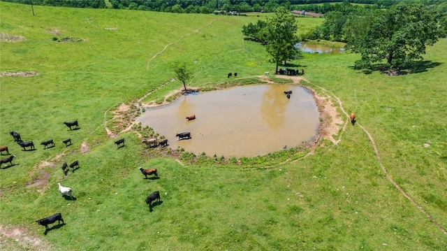 16638 Hazel Valley Rd, Fayetteville, AR 72701