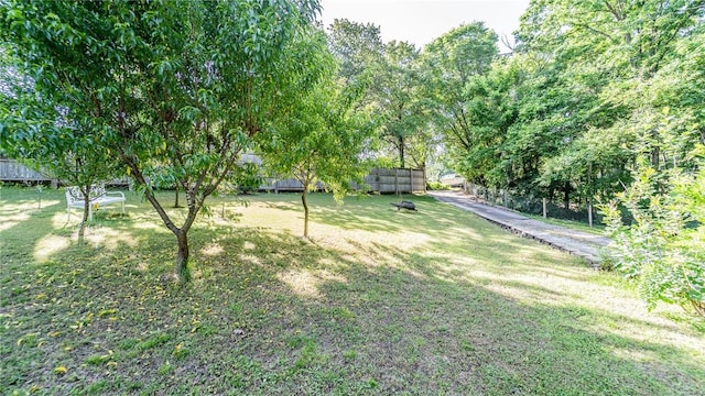 view of grassy yard