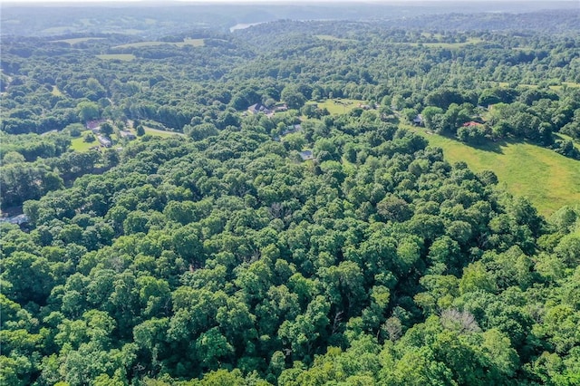 drone / aerial view of a forest