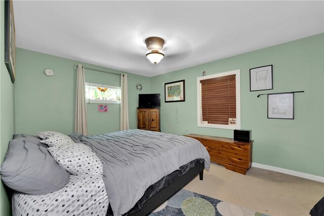 700 E Edna St, Fayetteville, AR 72703 - photo 10