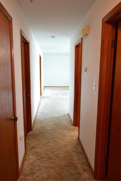 420 Natchez Trace Dr, Harrison, AR 72601 - hall featuring light carpet and baseboards