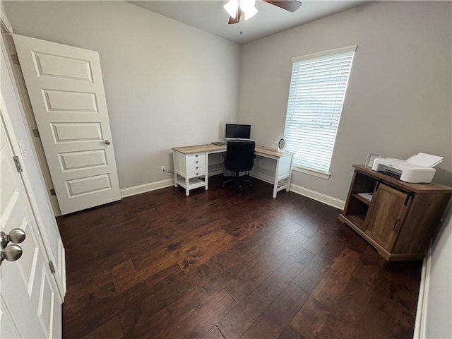773 Via Firenze Ave, Tontitown, AR 72762 - office with a ceiling fan, dark wood-style flooring, and baseboards