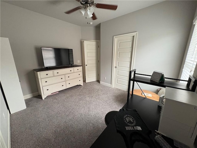 773 Via Firenze Ave, Tontitown, AR 72762 - exercise area featuring a ceiling fan, carpet floors, and baseboards
