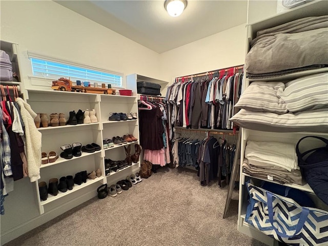 773 Via Firenze Ave, Tontitown, AR 72762 - spacious closet with carpet
