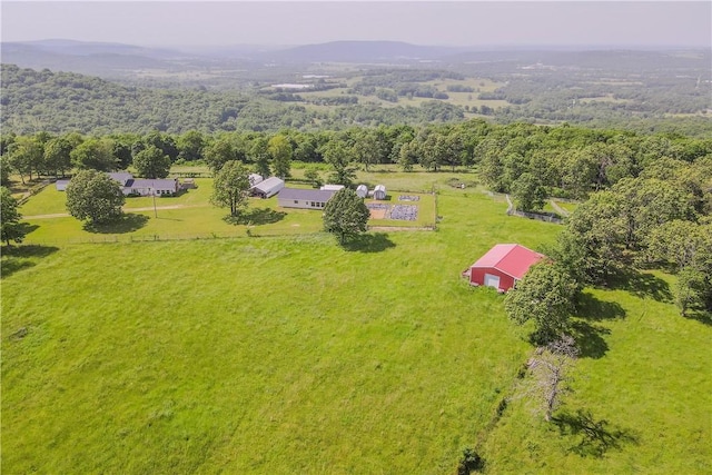 18880 Skylight Mountain Rd, Canehill, AR 72717 - photo 5