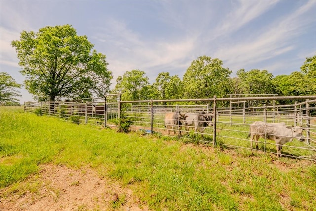 18880 Skylight Mountain Rd, Canehill, AR 72717 - view of yard featuring a rural view and an exterior structure